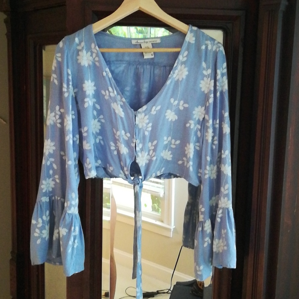 Flower embroidered Blue crop top with bell sleeves